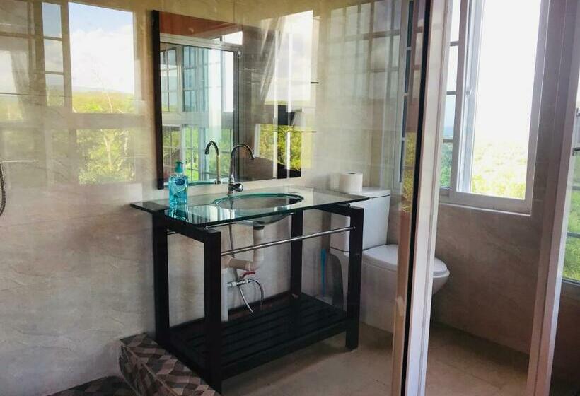 豪华房间, Welcoming Vibes