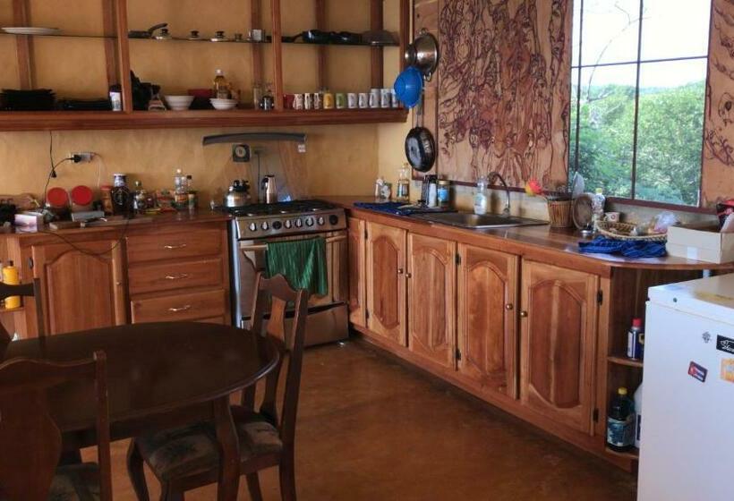 豪华房间, Welcoming Vibes