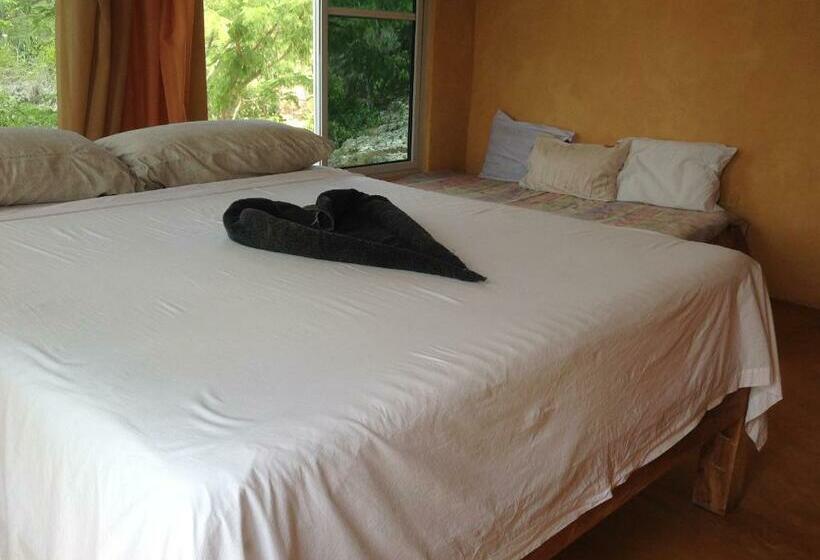 豪华房间, Welcoming Vibes