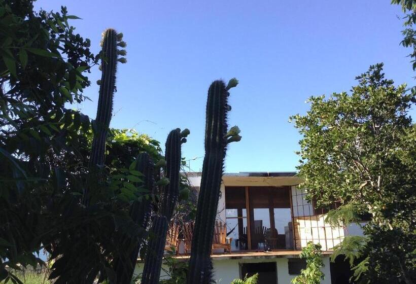 带海景的标准房, Welcoming Vibes