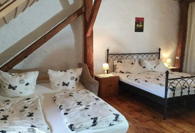 Quarto Estandar, Maurushaus