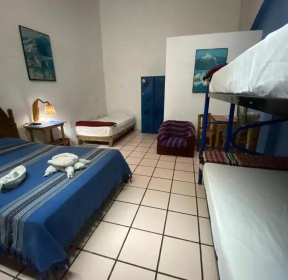 تختخواب در اتاق مشترک, Hostal Luz De Luna Nuyoo