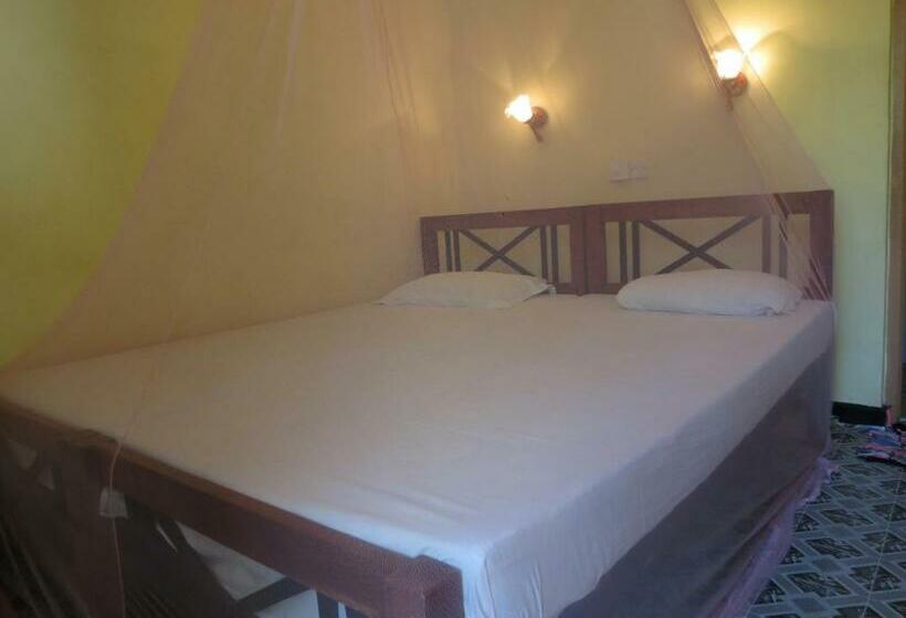 スタンダードルーム, Why Not Guest House