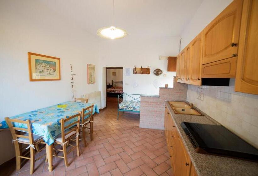 低层单卧公寓, Agriturismo Greppo All Olivo