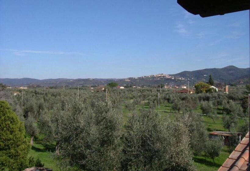 דירה בת חדר שינה 1 עם מרפסת, Agriturismo Greppo All Olivo