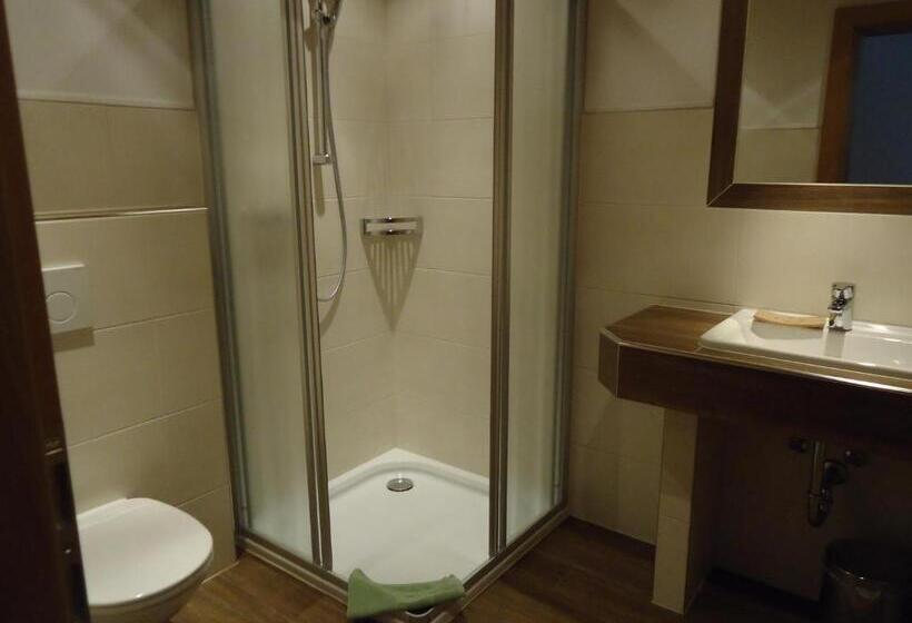 חדר סטנדרט עם טרסה, Gsenghof