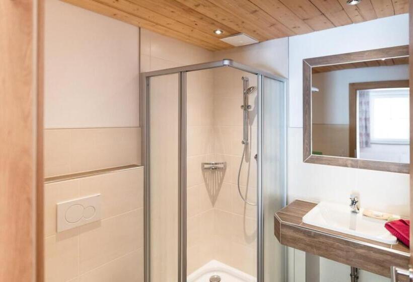 חדר סטנדרט עם טרסה, Gsenghof