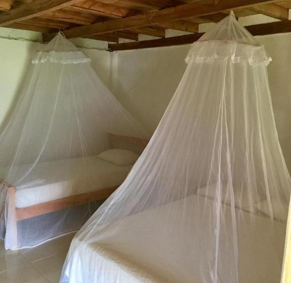 家庭间, Palomino Breeze Hostal