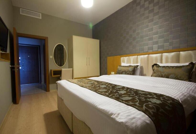 带1个卧室的豪华公寓, A Plus