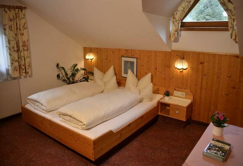 غرفة قياسية, Aparthotel Spitzer