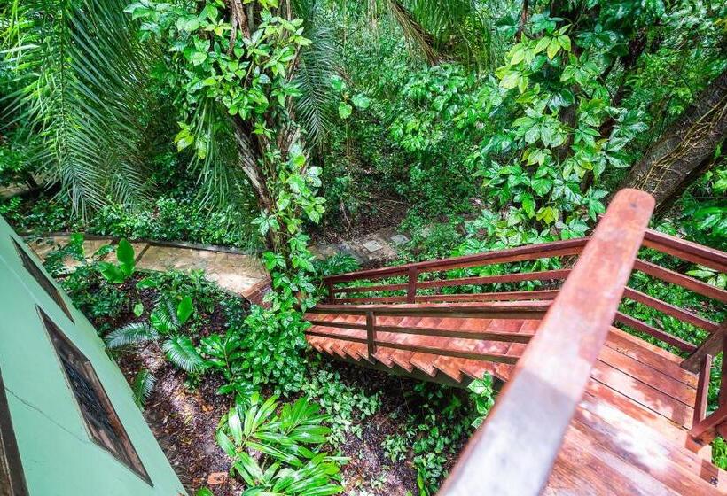 آپارتمان لوکس 1 خوابه, Pousada Anjali