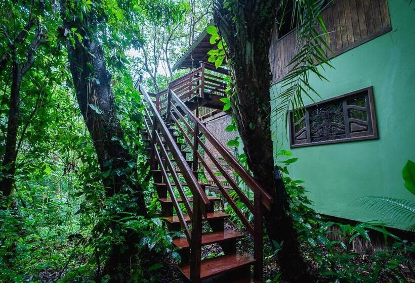 آپارتمان لوکس 1 خوابه, Pousada Anjali