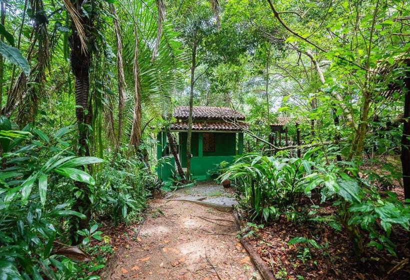 کلبه ییلاقی, Pousada Anjali