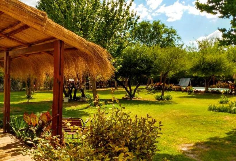 سوییت, Amaikén Suites