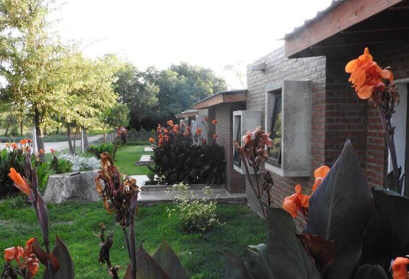 سوییت, Amaikén Suites