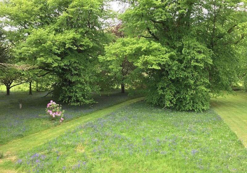 غرفة ديلوكس مطلّة علي الحديقة, Melfort House