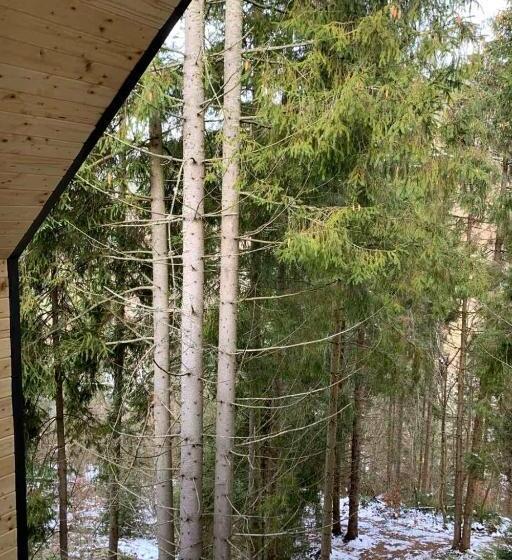 ویلای لوکس 1 خوابه, Villa Alpiyka