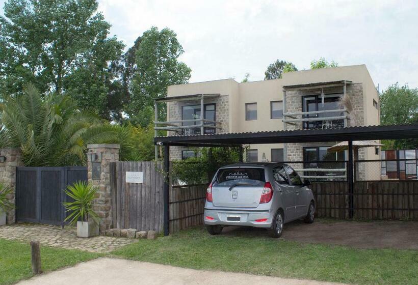 استودیوی استاندارد, Piedra Mora Loft