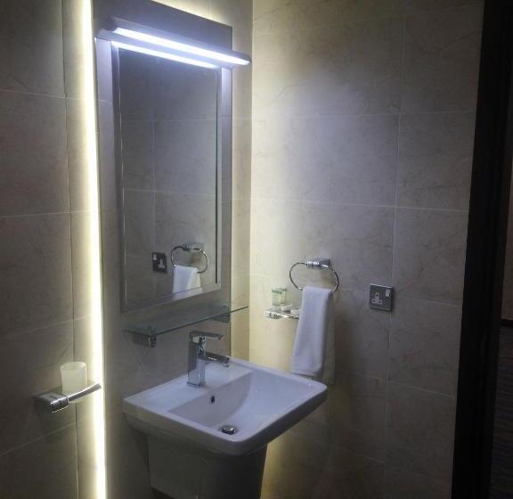 اتاق استاندارد با تخت بزرگ, Regent Hotel Apartments