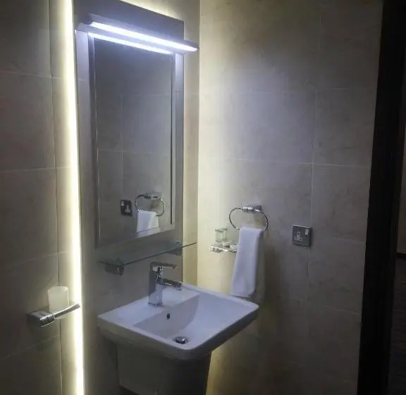 اتاق استاندارد با تخت بزرگ, Regent Hotel Apartments
