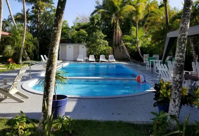 别墅: 1间卧室带游泳池, Boca Del Paraiso