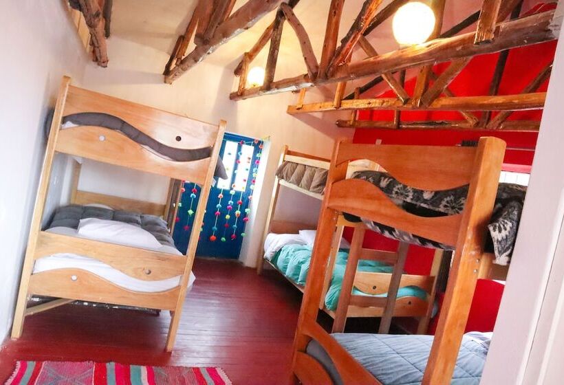 ルームシェアのワンベッド, The Rooftop Hostel Cusco