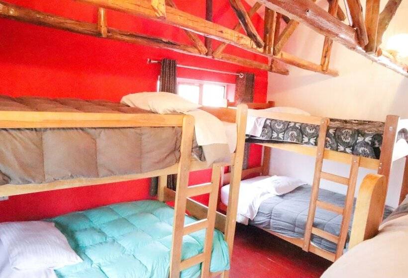 سرير فى غرفة مشتركه, The Rooftop Hostel Cusco