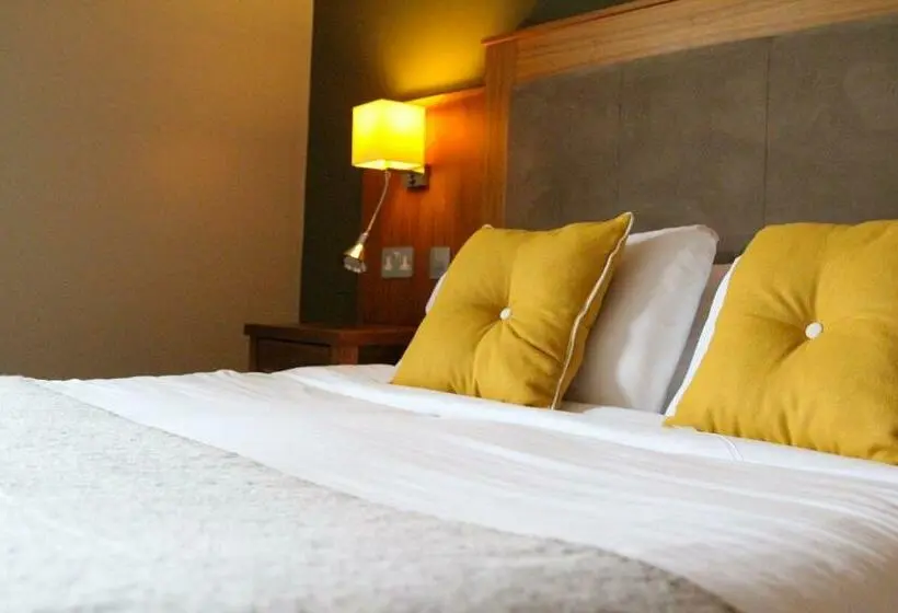 Chambre Standard, Fiddle + Bow