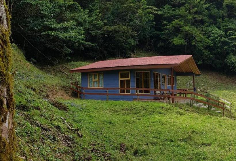 침실 2개 주택, Finca Terra Viva