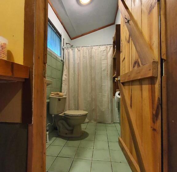 스탠다드 스튜디오 (전망), Finca Terra Viva