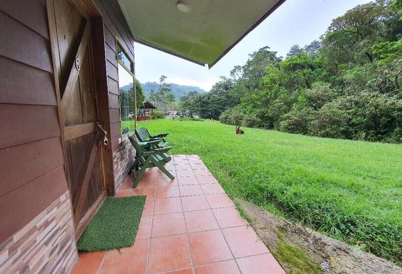 스탠다드 스튜디오 (전망), Finca Terra Viva