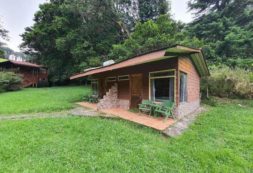 스탠다드 스튜디오 (전망), Finca Terra Viva