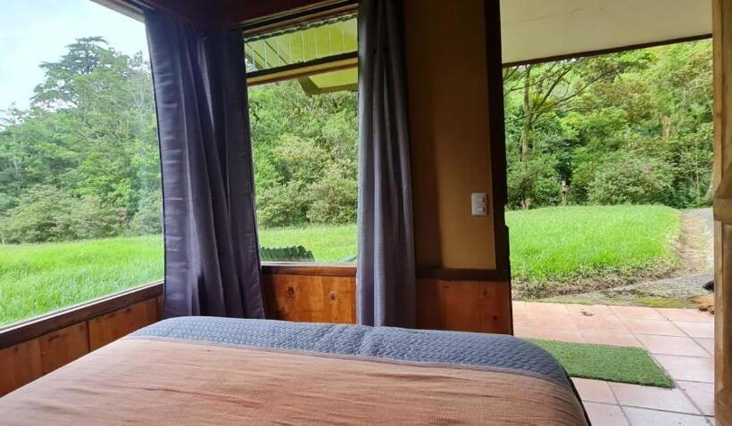 스탠다드 스튜디오 (전망), Finca Terra Viva