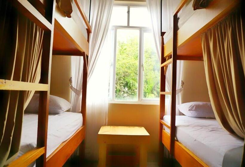 스탠다드 룸 공동 욕실, Kokos Hostel Padang City