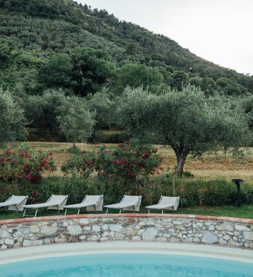 آپارتمان 3 خوابه, Buonvisi B&b