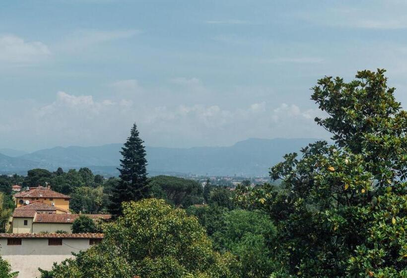 اتاق استاندارد, Buonvisi B&b