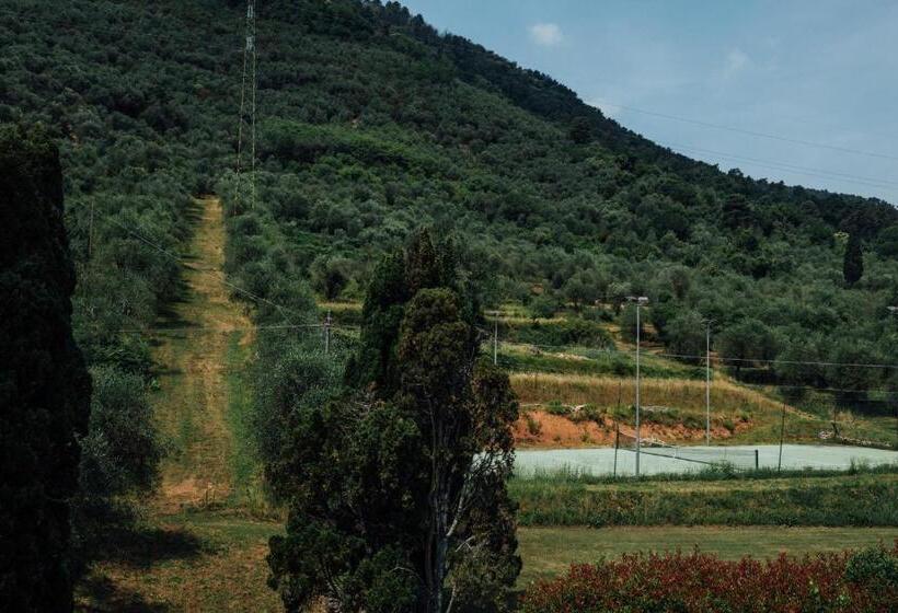 اتاق استاندارد, Buonvisi B&b