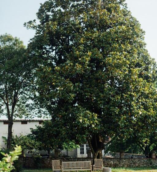 اتاق لوکس, Buonvisi B&b