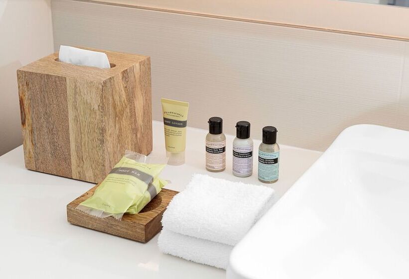 豪华房间, Element Hampton Peninsula Town Center