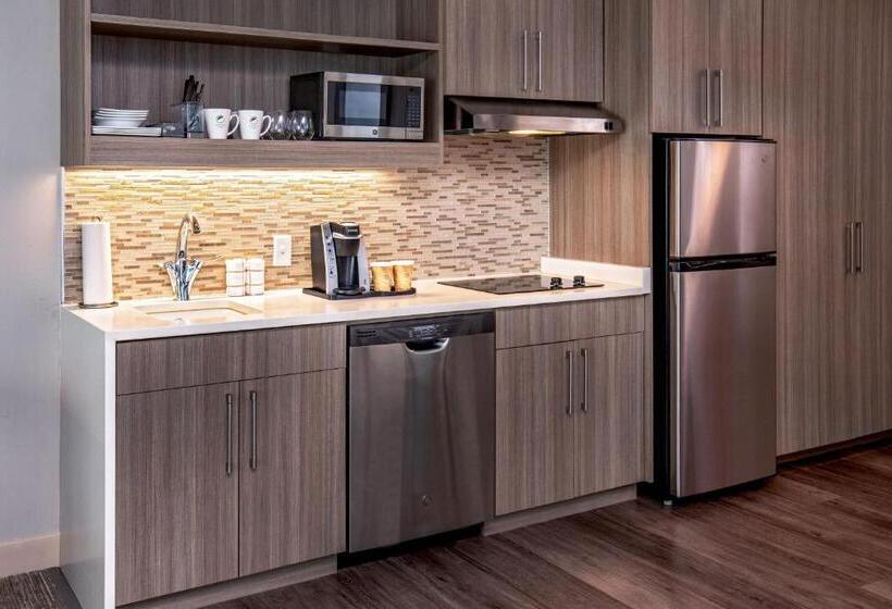 带大床的标准工作室, Element Hampton Peninsula Town Center