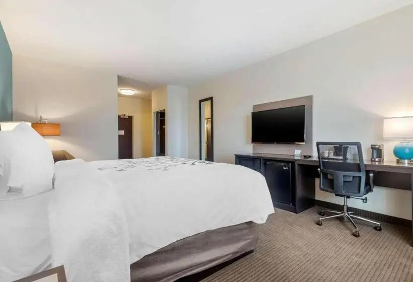 キングサイズベッドのスタンダードルーム, Sleep Inn & Suites Bricktown   Near Medical Center