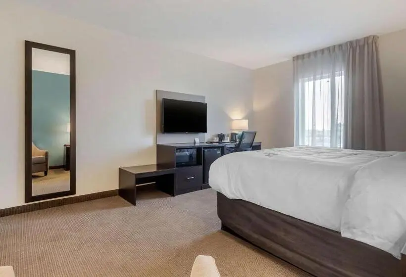 キングサイズベッドのスタンダードルーム, Sleep Inn & Suites Bricktown   Near Medical Center