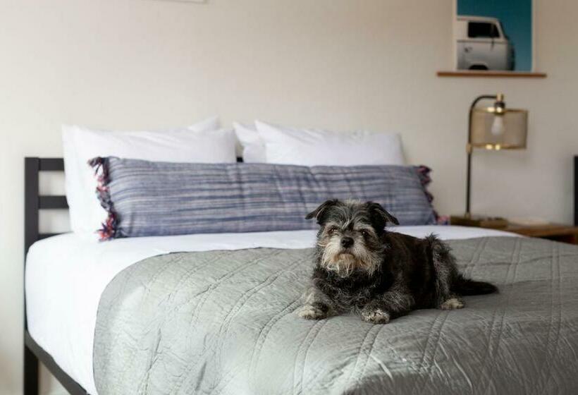 חדר דלוקס, Spoke And Vine Motel