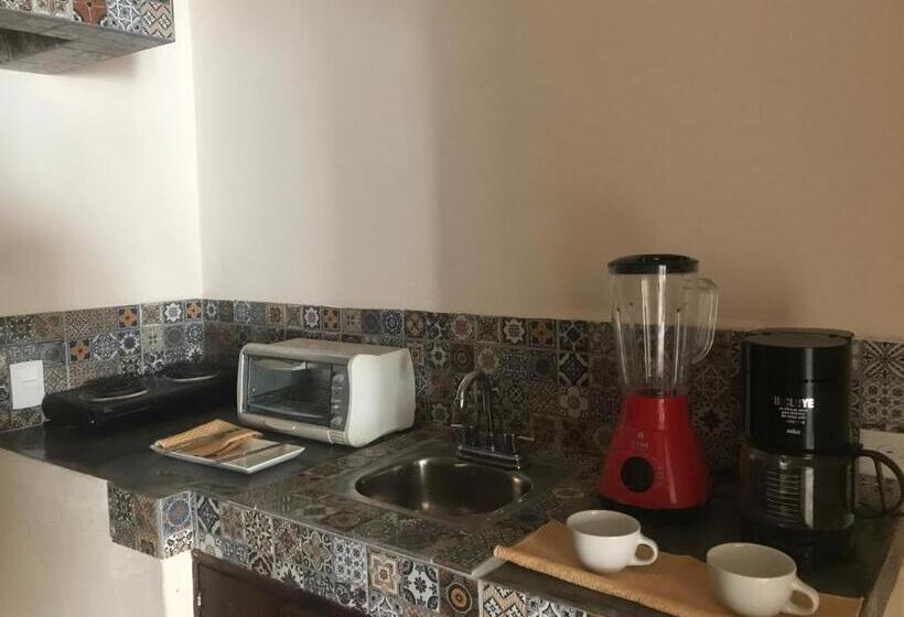 Апартаменты 2 Спальни, Camino De Allende