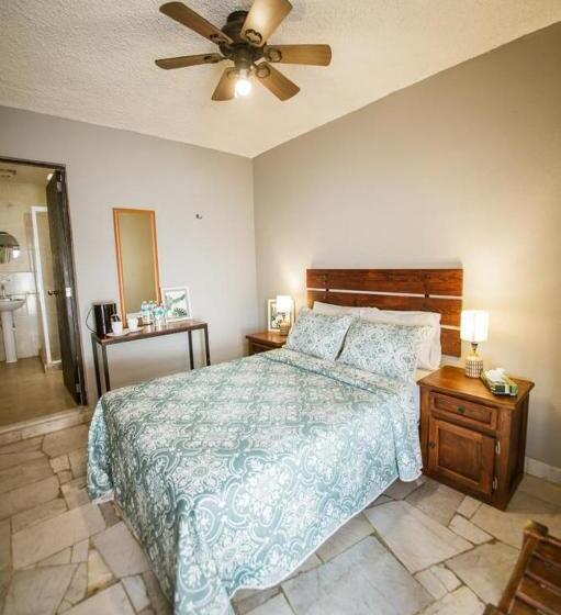 Номер Стандарт, Camino De Allende