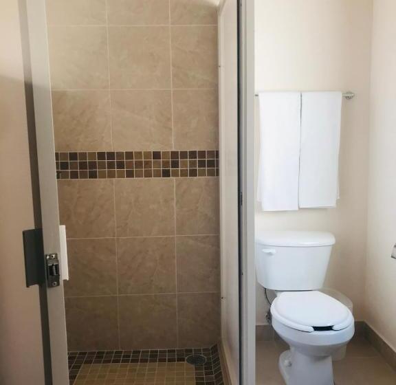 Номер Стандарт, Camino De Allende