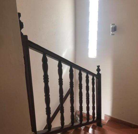 Люкс, Camino De Allende