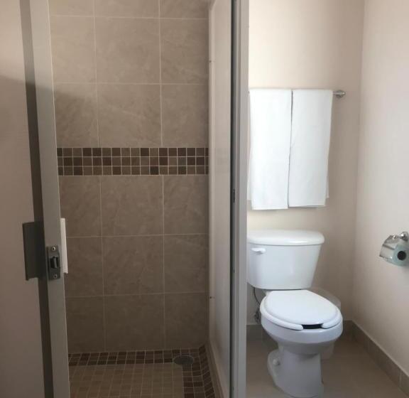 Номер Стандарт, Camino De Allende