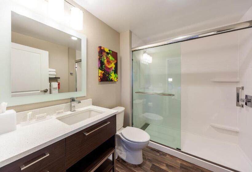 Standard Studio King Bed, Towneplace Suites By Marriott Front Royal