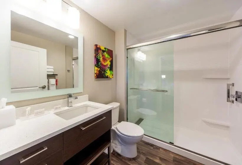 キングサイドベッドのスタンダードワンルーム, Towneplace Suites By Marriott Front Royal
